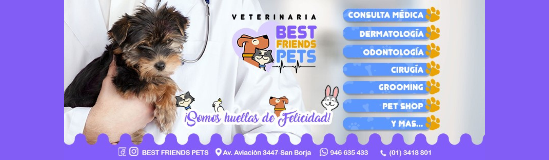 Best Friends Pets