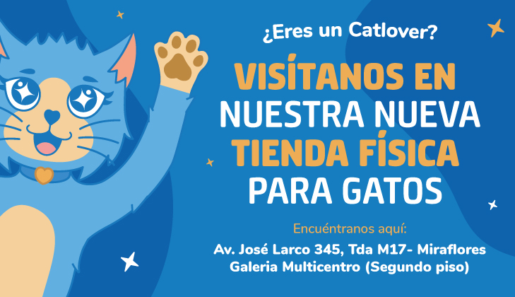 City Miau