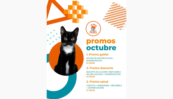 Clinica Veterinaria AURIS