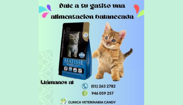 Clinica Veterinaria Candy