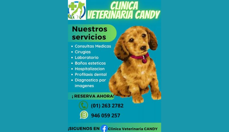 Clinica Veterinaria Candy
