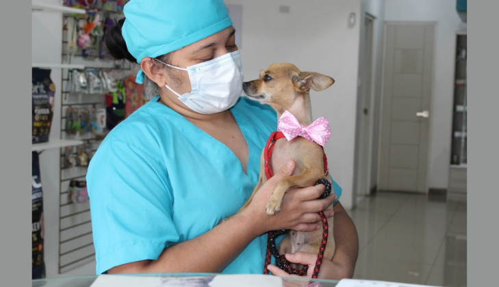 Clinica Veterinaria Clinican