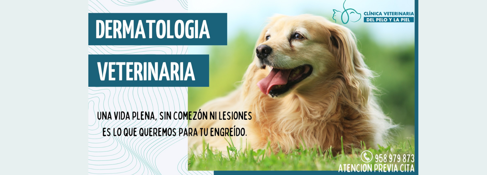 Clínica Veterinaria del Pelo y la Piel