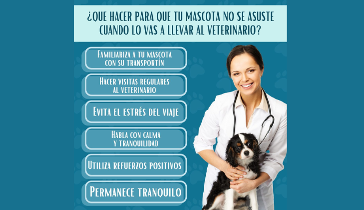 Clínica Veterinaria del Pelo y la Piel