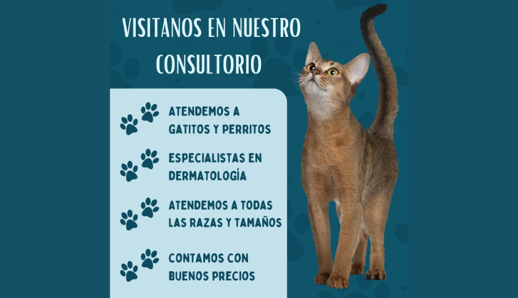 Clínica Veterinaria del Pelo y la Piel