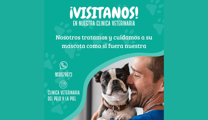Clínica Veterinaria del Pelo y la Piel
