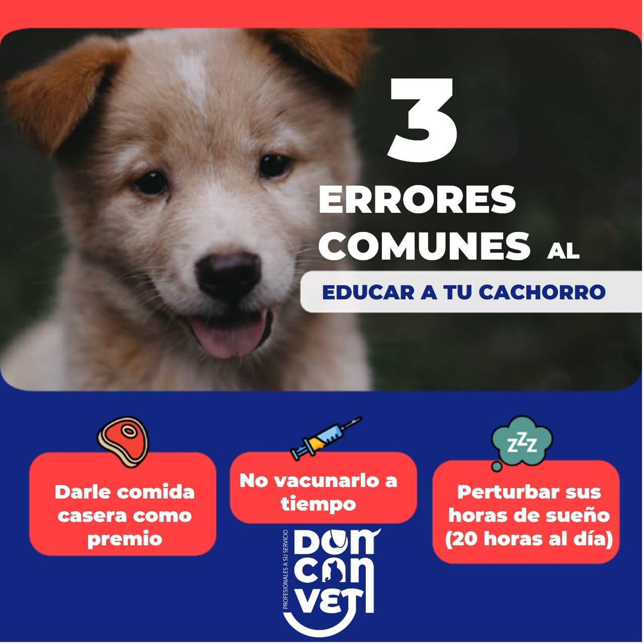 Clínica Veterinaria Don Can