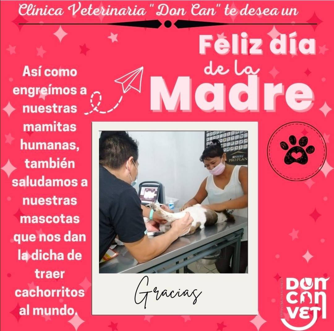 Clínica Veterinaria Don Can