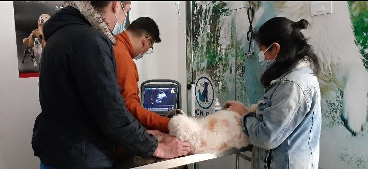 Clínica Veterinaria Don Can