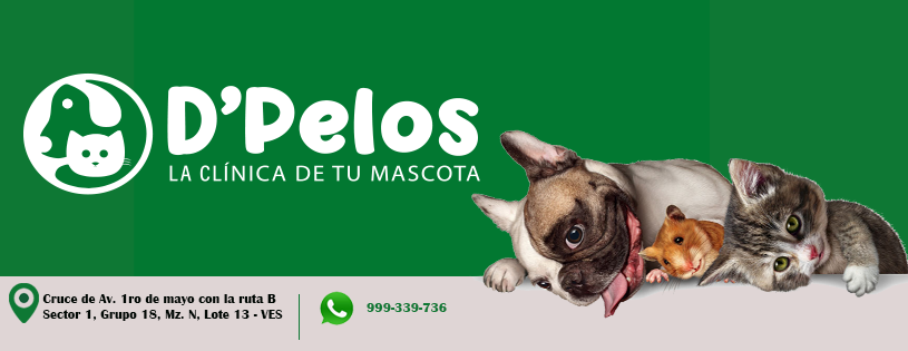 Clínica Veterinaria D'Pelos