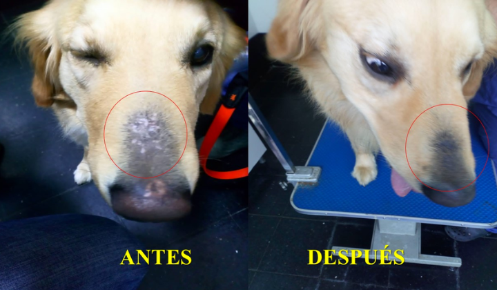 Clínica Veterinaria Enciso