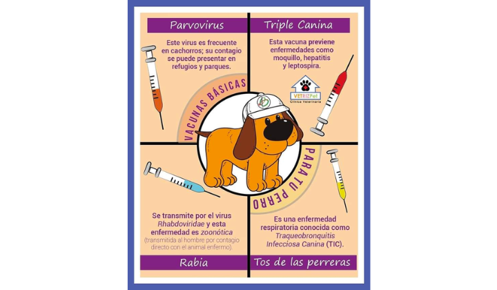 Clínica Veterinaria Enciso