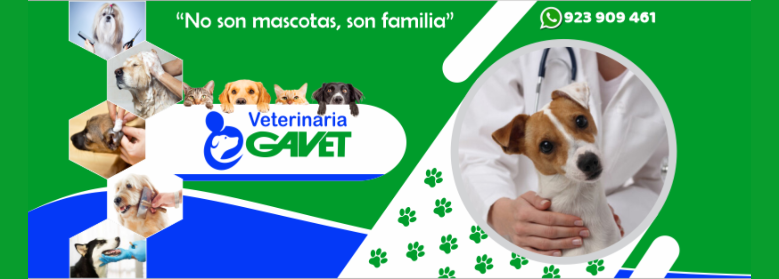 Veterinaria Gavet