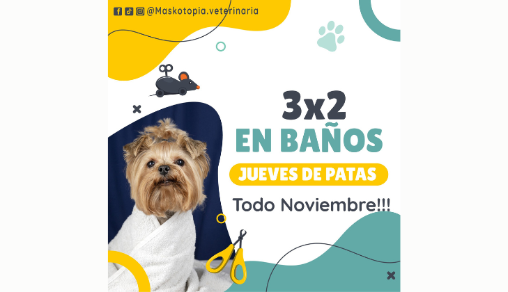 Clínica Veterinaria Maskotopía