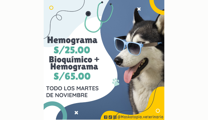 Clínica Veterinaria Maskotopía