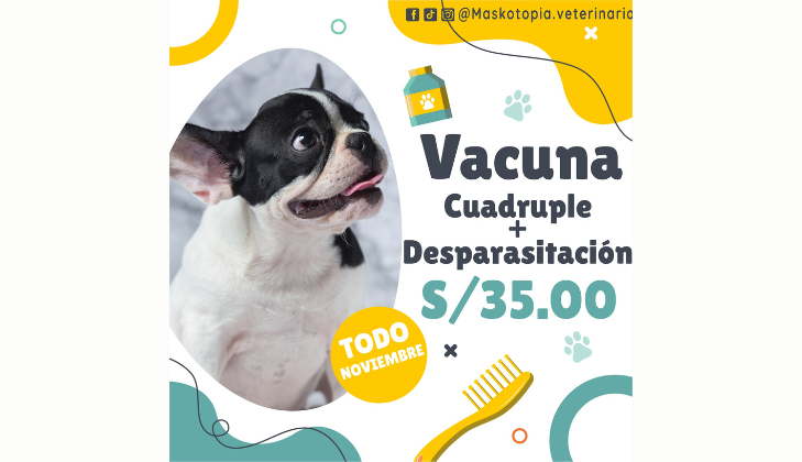 Clínica Veterinaria Maskotopía