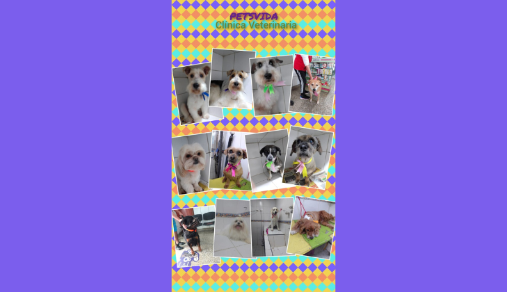 Clínica Veterinaria Petsvida