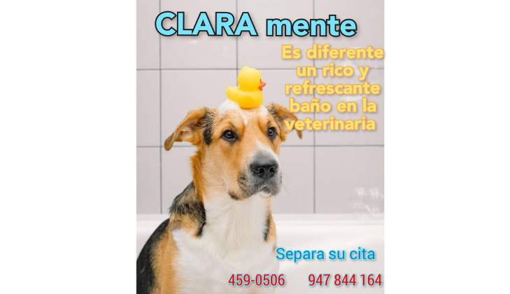 Clínica Veterinaria Petsvida