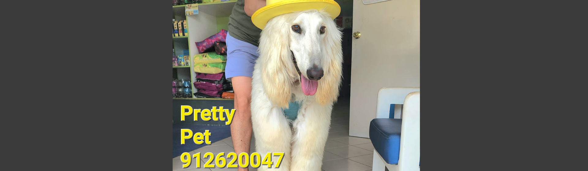 Clínica Veterinaria Pretty Pet