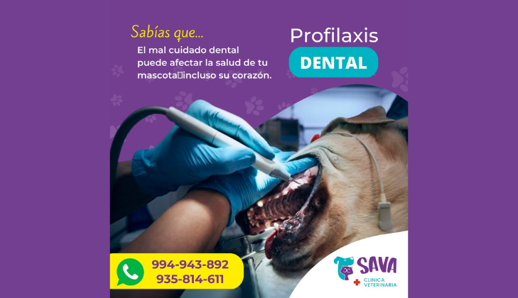 Clínica Veterinaria Sava