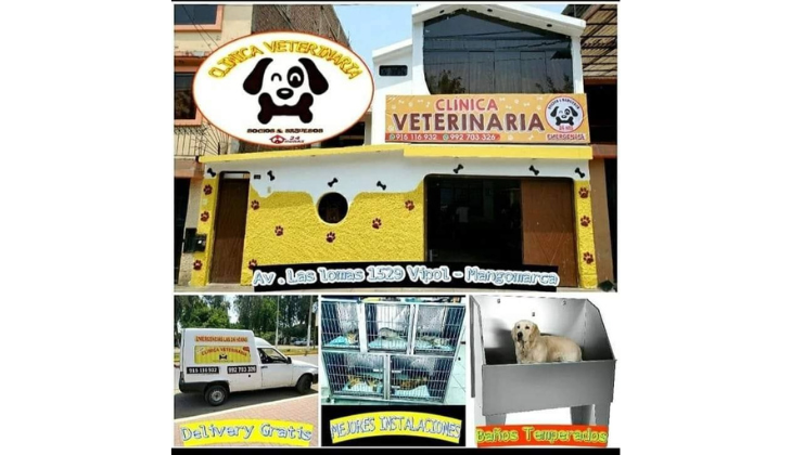 Clinica veterinaria socios y sabuesos