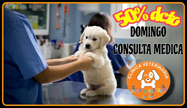 Clinica veterinaria socios y sabuesos