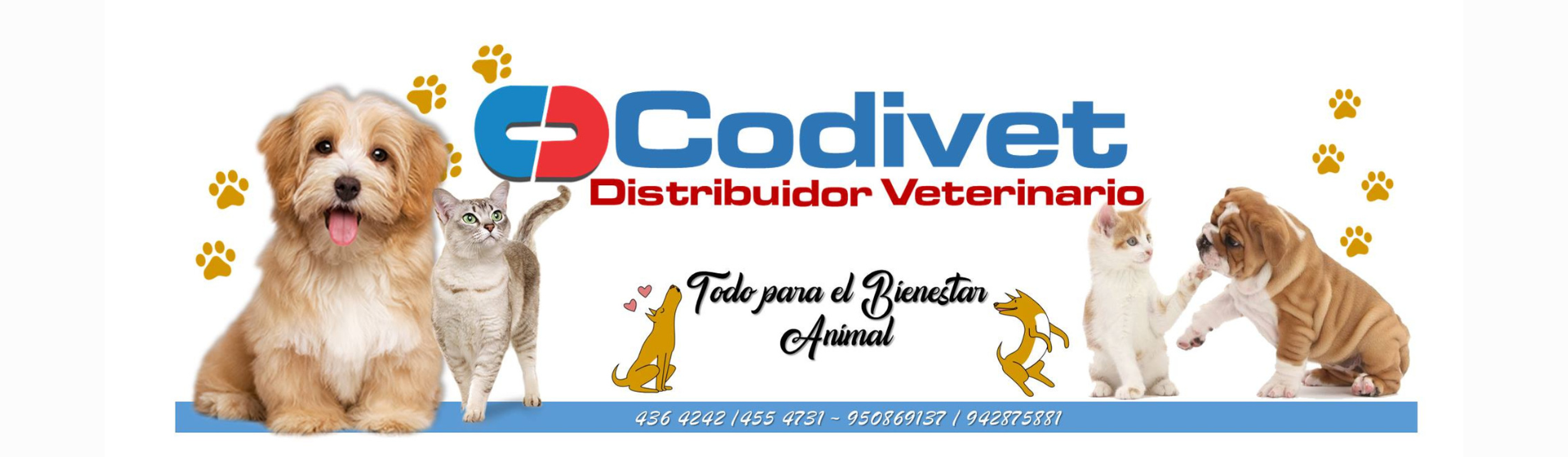 Codivet