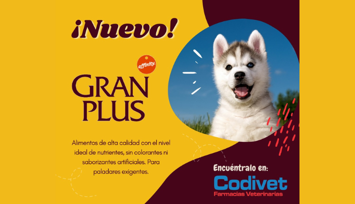 Codivet
