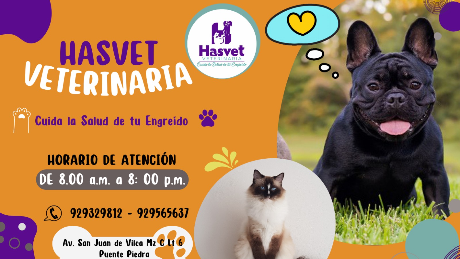 Hasvet Veterinaria & Groomer