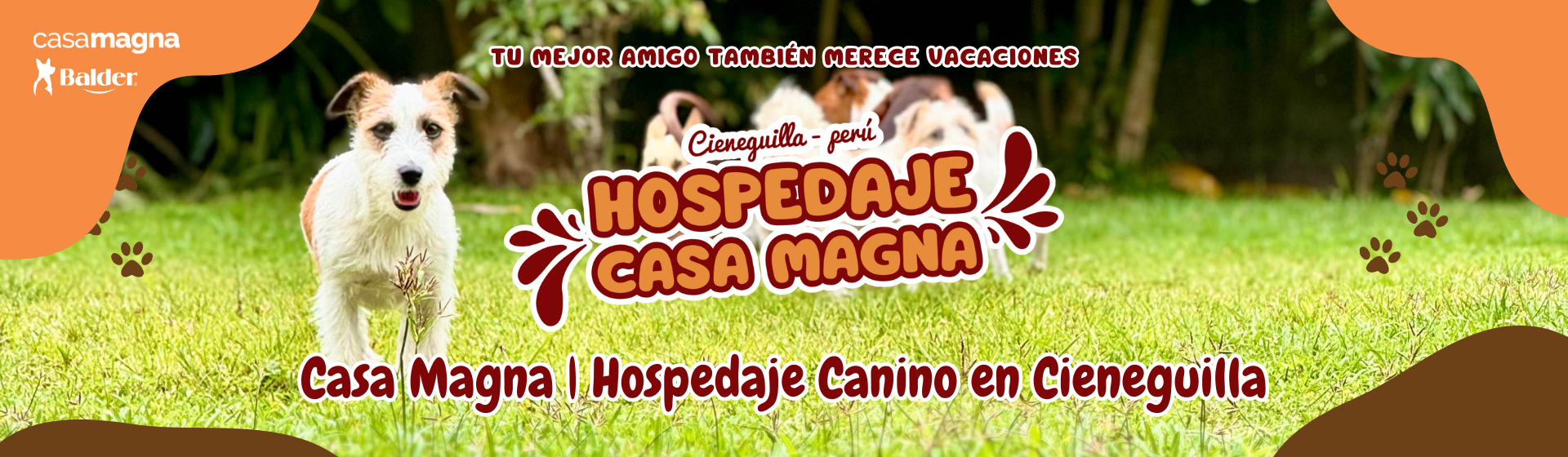 Hospedaje Canino Casa Magna