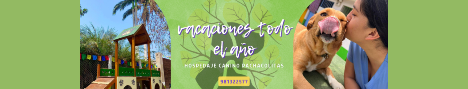 Hospedaje Pachacolitas