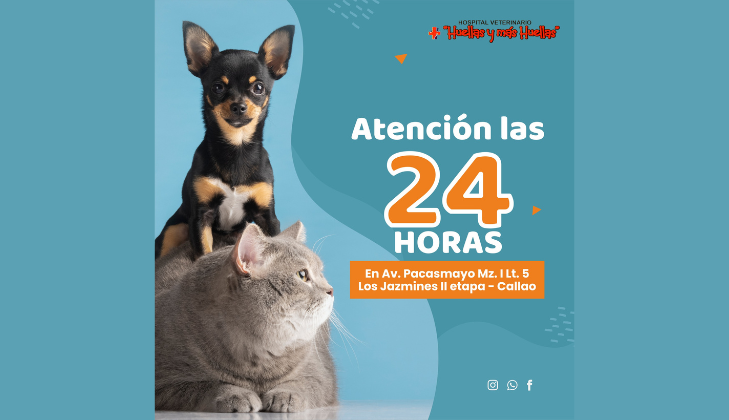 Veterinario Huellas y más Huellas