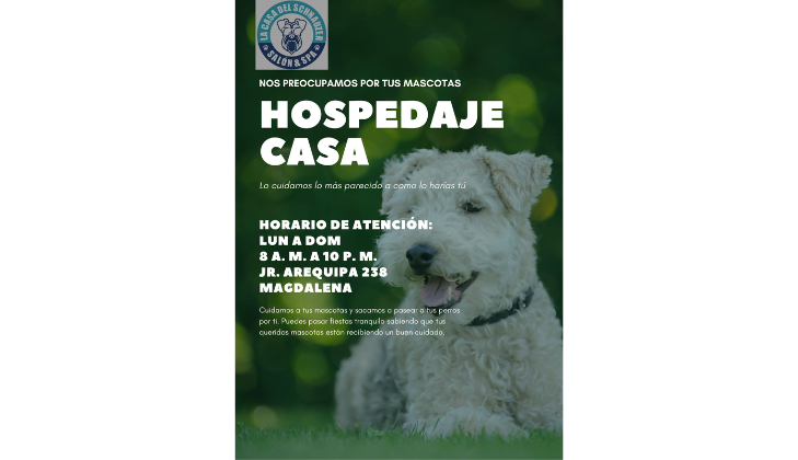 La Casa del Schnauzer