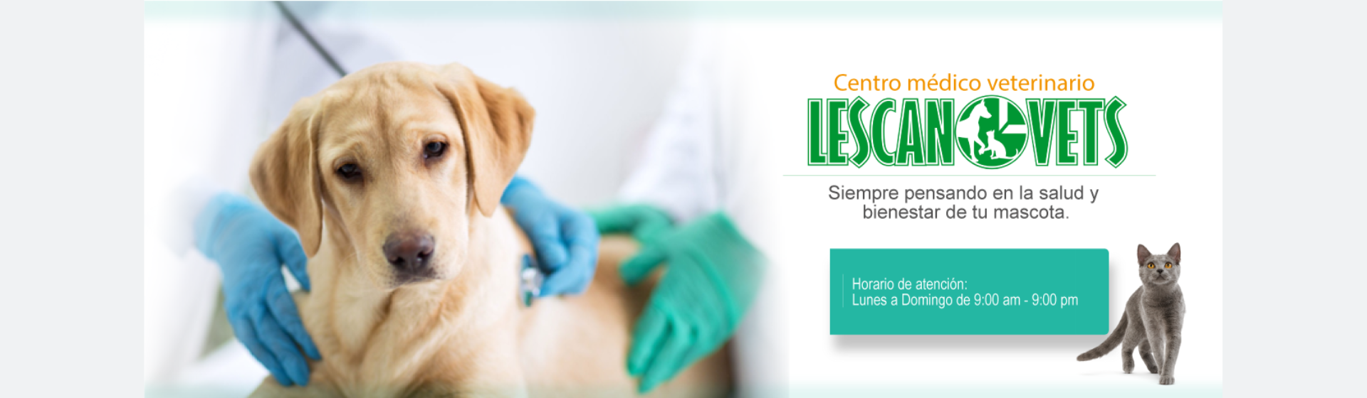 Lescanovets
