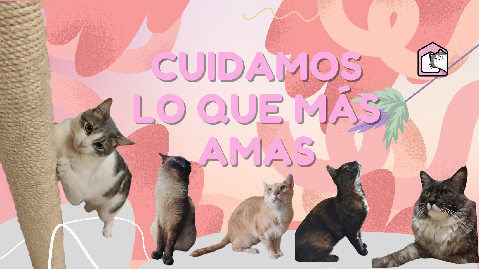 Mi Primer Bigote Hospedaje para Gatos