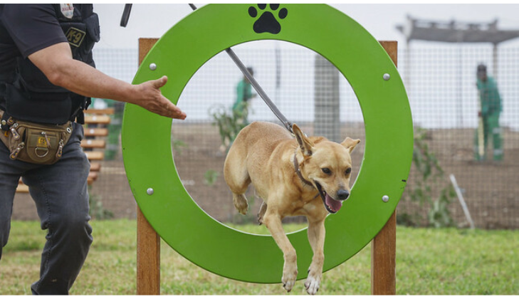 Parque Canino Esperanza