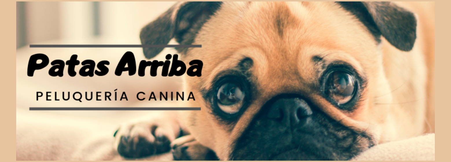 Patas Arriba