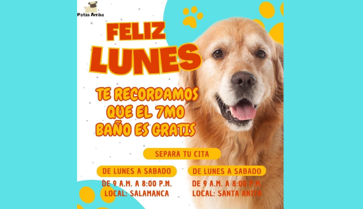 Patas Arriba