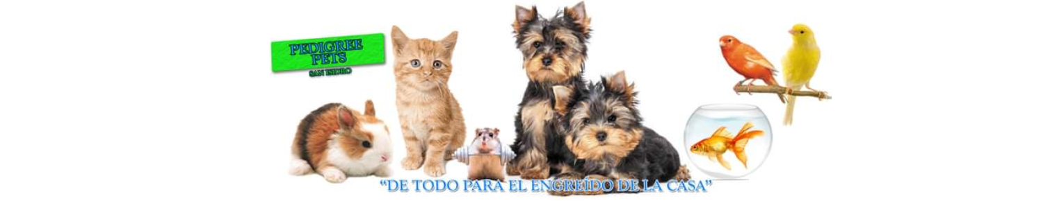 Pedigree Pets