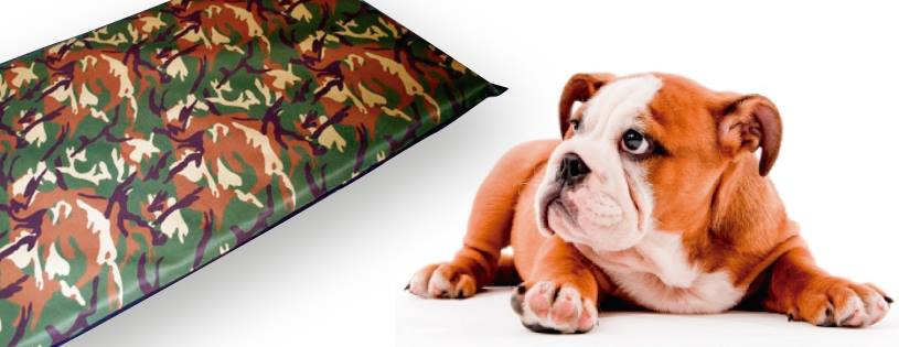 Pet Chochos