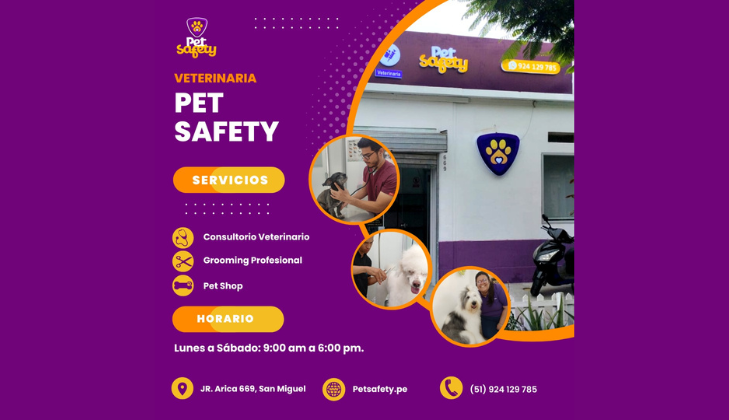 Pet Safety