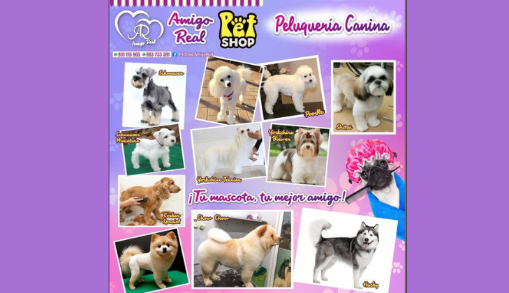 Pet Shop Amigo Real