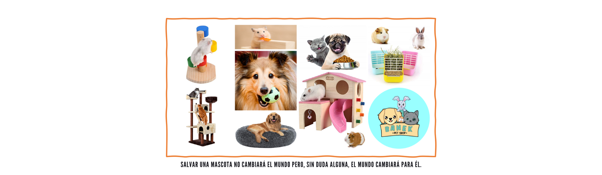 Pet Shop Banek