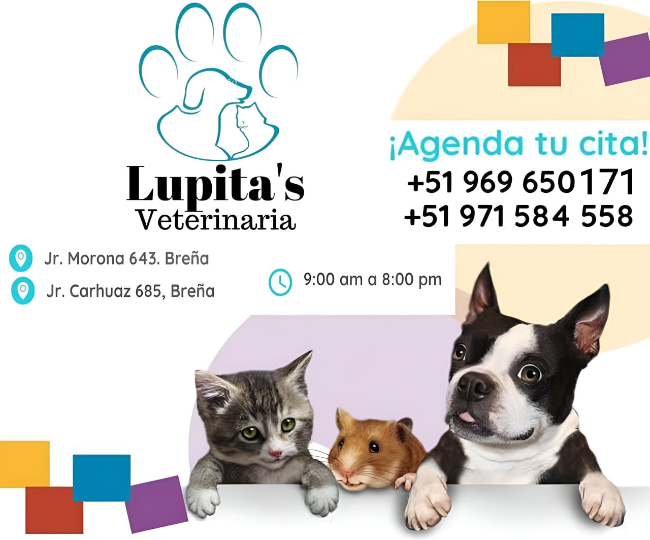 Pet Shop Lupita's