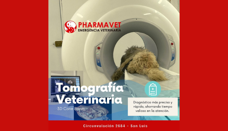 Pharmavet Hospital Veterinario