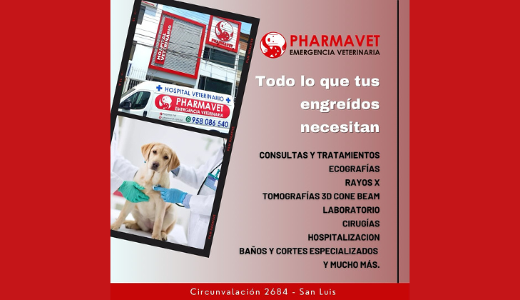 Pharmavet Hospital Veterinario