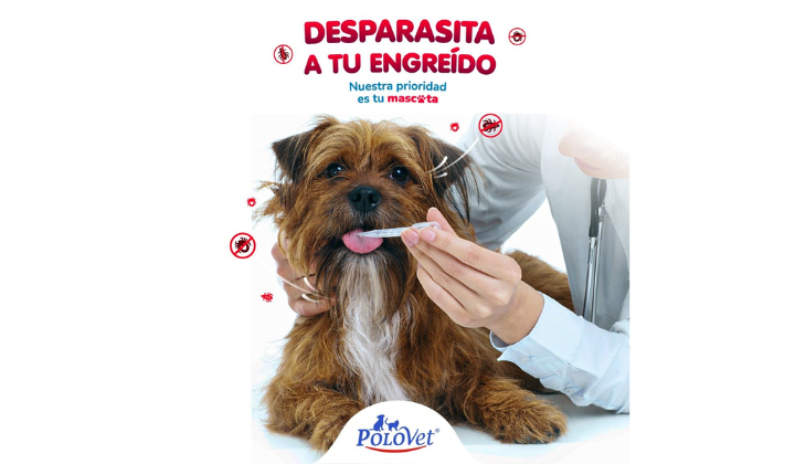 PoloVet Clinica Veterinaria