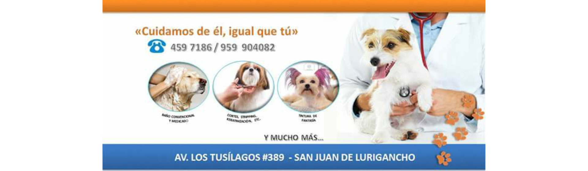 San & Vet Clínica Veterinaria