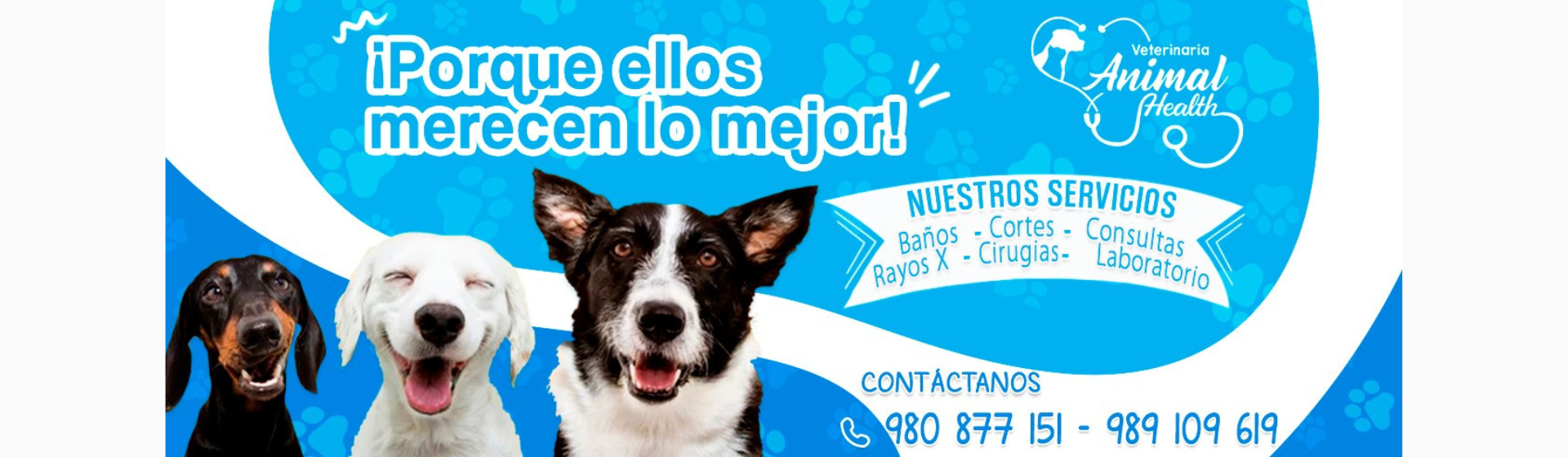 Veterinaria Animal Health La Molina