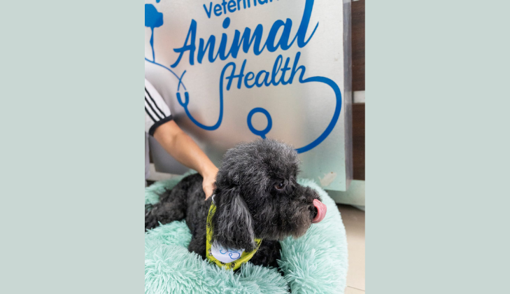 Veterinaria Animal Health La Molina